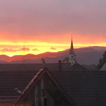 Kulturvogtei Freiburg-tiengen Πανσιόν