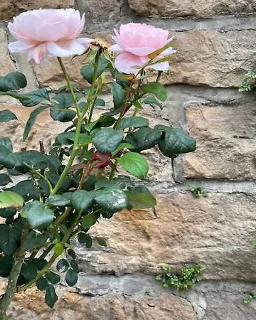 Kulturvogtei Freiburg-tiengen * Φράιμπουργκ