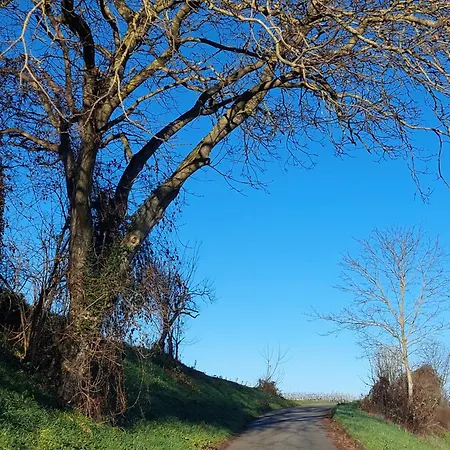 Kulturvogtei Freiburg-tiengen